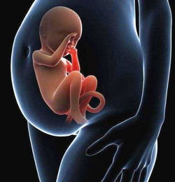 胎教对胎儿有用吗