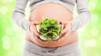 素食者孕期怎么吃最好