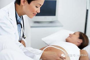 B超监测胎儿发育