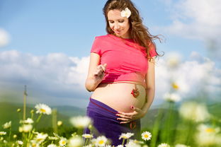 孕期最佳运动期是几个月
