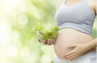 孕妇的钙供给标准