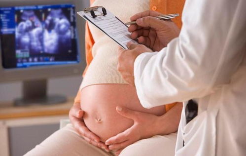 孕晚期检查需要多少钱