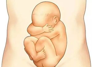 胎教对宝宝生长发育的影响