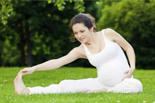 孕期最佳运动期是几个月到几个月