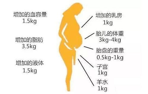 怀孕合理的体重增长是多少呢