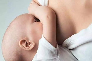 母乳喂养减肥餐
